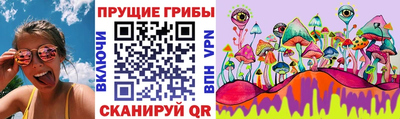 Галлюциногенные грибы мицелий  наркошоп  Спас-Деменск 